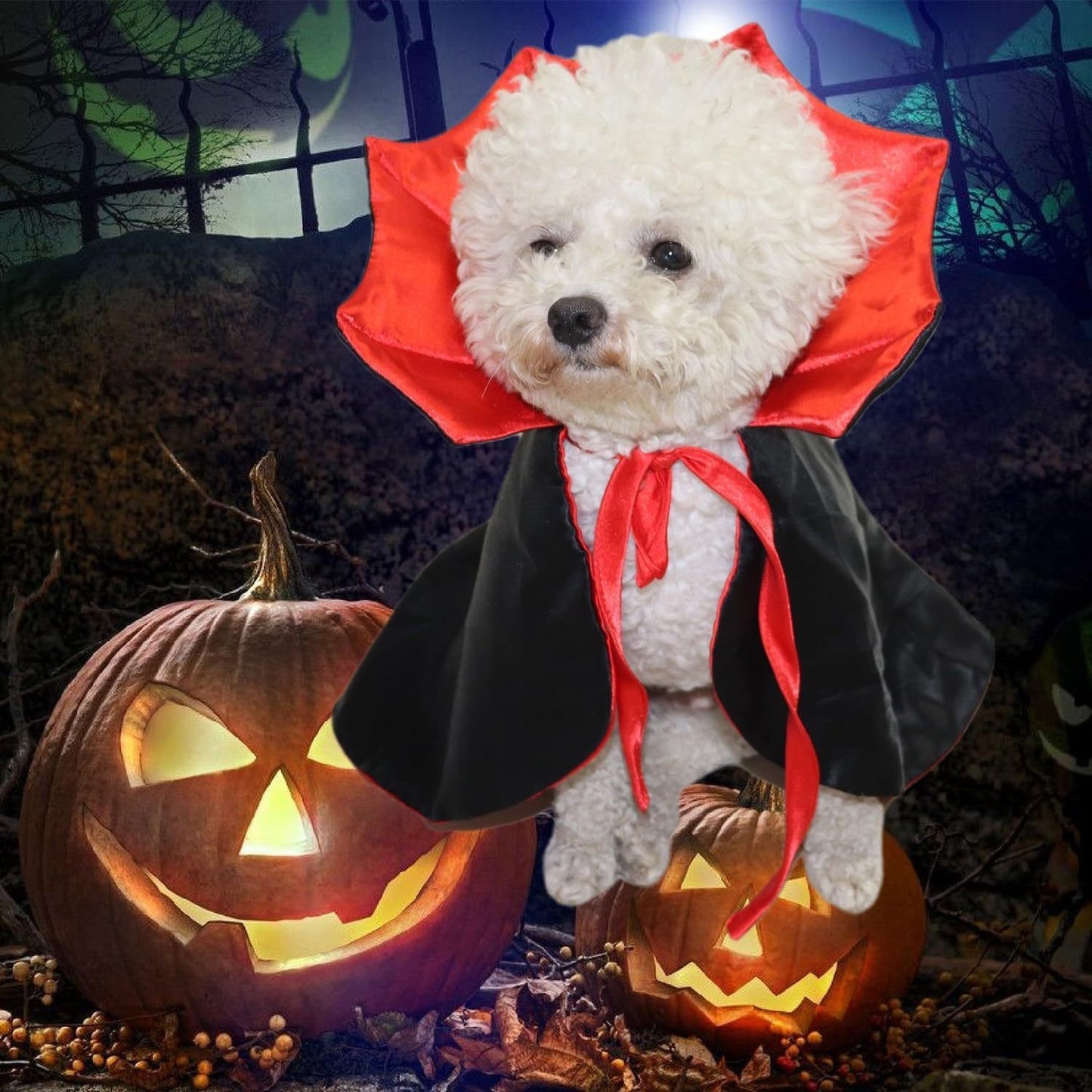 Cute Halloween Pet Costumes Cosplay Vampire Cloak For Small Dog Cat Kitten Puppy