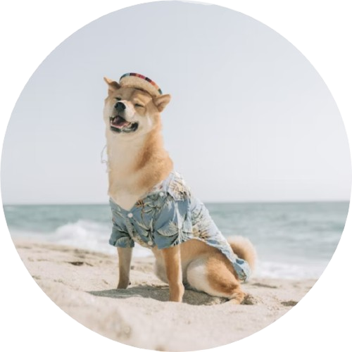 Pet Clothes