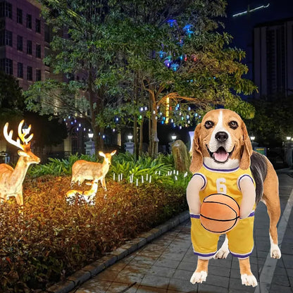 Pet Costumes Dog Basketball Player Costume Halloween Costumes For Dogs