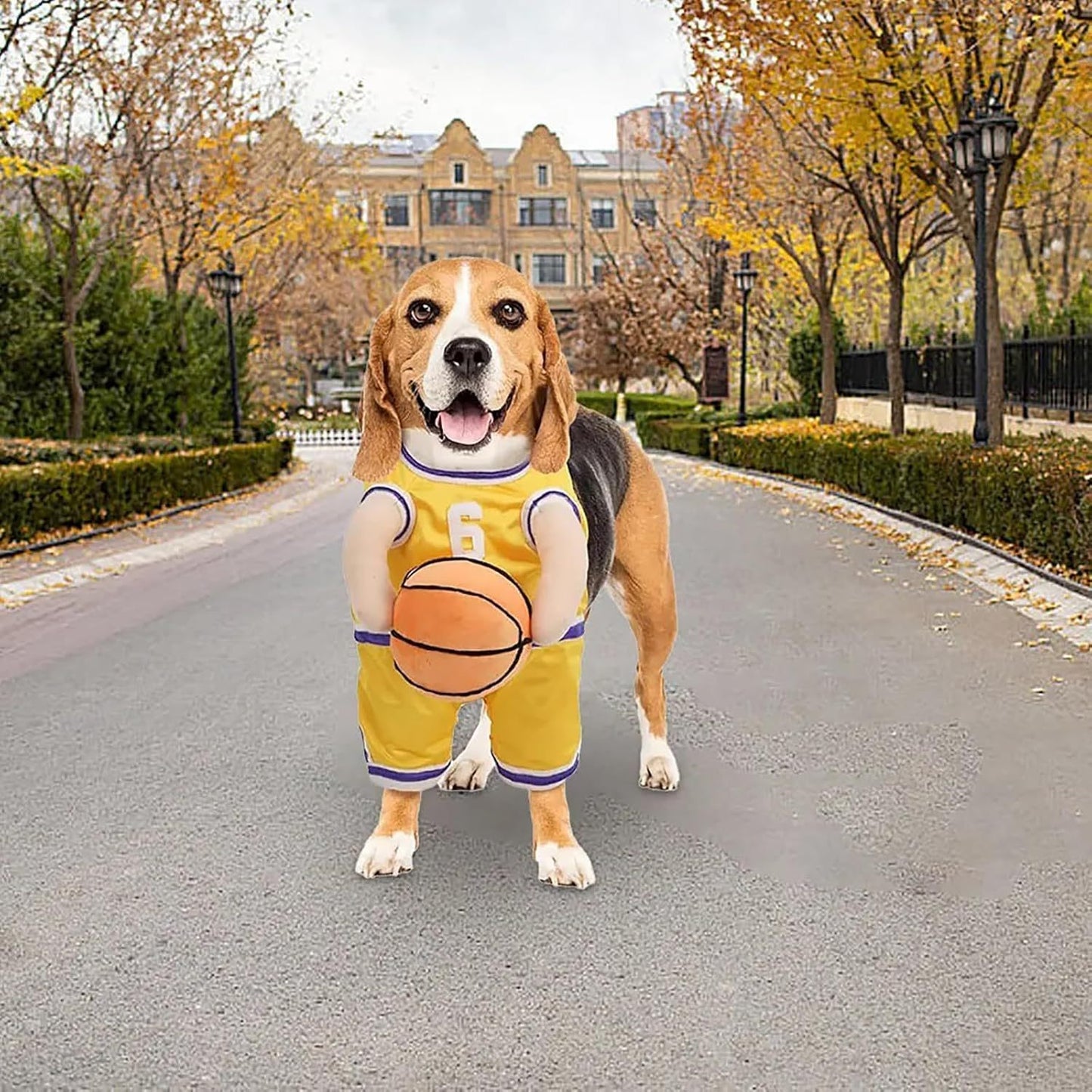 Pet Costumes Dog Basketball Player Costume Halloween Costumes For Dogs