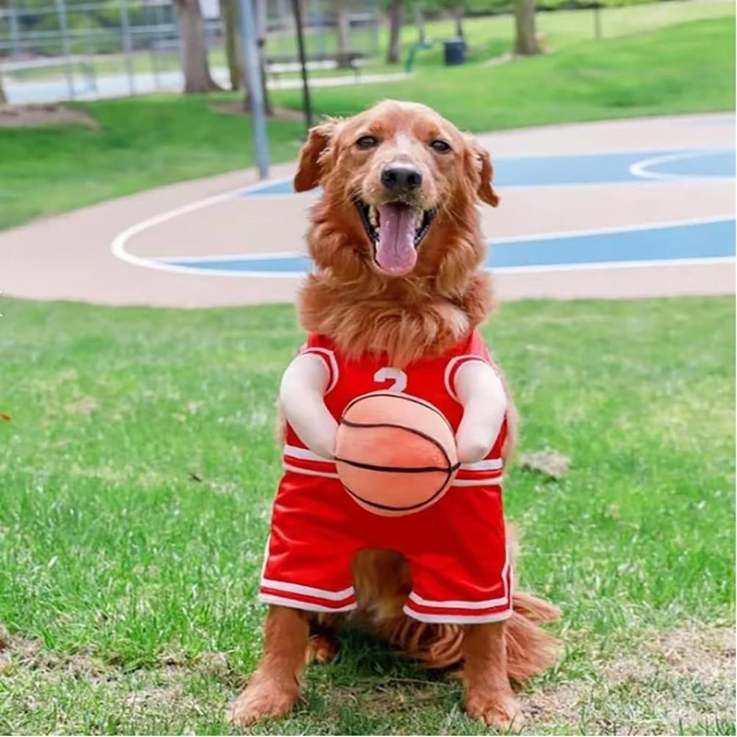 Pet Costumes Dog Basketball Player Costume Halloween Costumes For Dogs