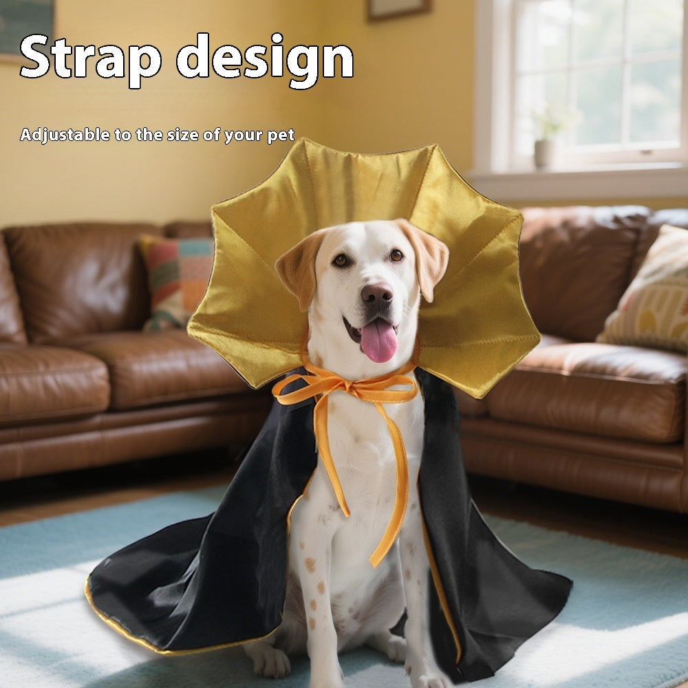 Fashion Personality Halloween Pet Transformation.