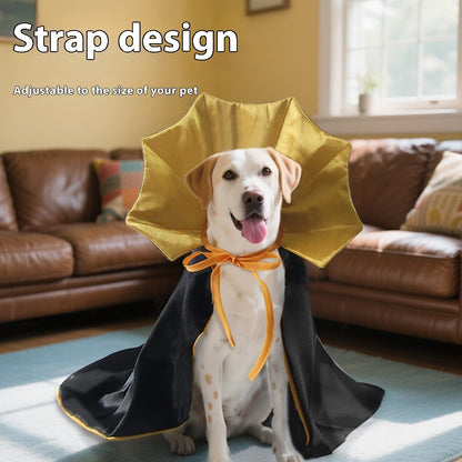 Fashion Personality Halloween Pet Transformation.