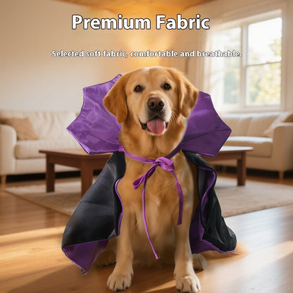 Fashion Personality Halloween Pet Transformation.