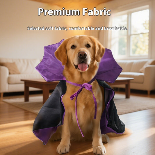 Fashion Personality Halloween Pet Transformation.